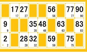 best lottery at Lucknow Games featured image